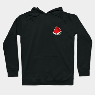 watermelon logo as a symbol of resistance of the Palestinian people Hoodie